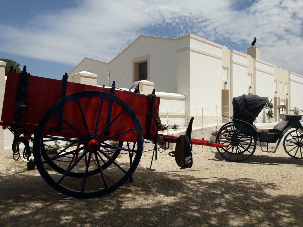 Casa Vacanza Mary Lejlighed Santeramo in Colle Eksteriør billede